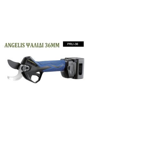 ΣΕΤ ΨΑΛΙΔΙ ΚΛΑΔΕΜΑΤΟΣ ANGELIS PRU36 ΜΕ 1 ΜΠΑΤΑΡΙΑ 4.0 Ah & 1 ΜΠΑΤΑΡΙΑ 2.0 Ah ΚΑΙ ΦΟΡΤΙΣΤΗ