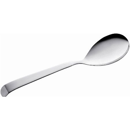 PINTINOX ASTRA 30 CM SERVING SPOON