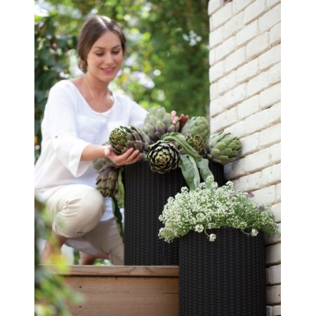 ΣΕΤ 2 ΓΛΑΣΤΡΕΣ KETER STYLE RATTAN SMALL + MEDIUM ΚΑΦΕ